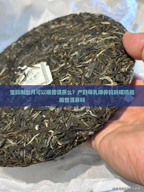 宝妈刚出月可以喝普洱茶么