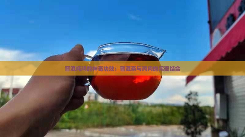 普洱茶蒸鸡的功效