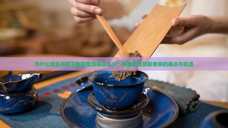 炳生号霸王别姬普洱茶
