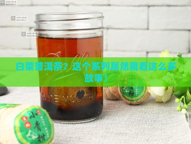 白菜普洱茶系列大全