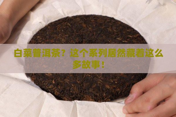 白菜普洱茶系列大全