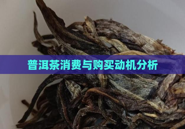普洱茶消费的动机
