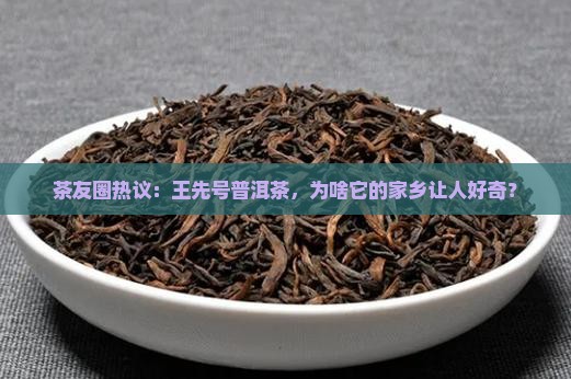 王先号普洱茶是产地