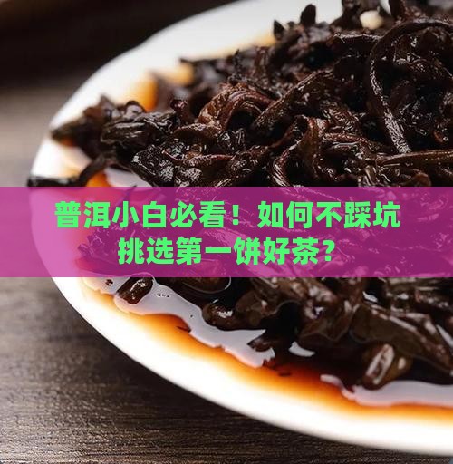 新手怎样选择普洱茶