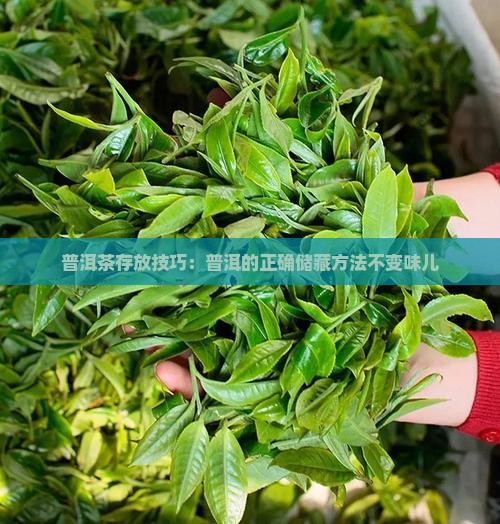 普洱茶怎么放不变味儿的