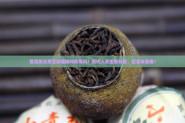 普洱茶兑黑芝麻能喝吗有毒吗