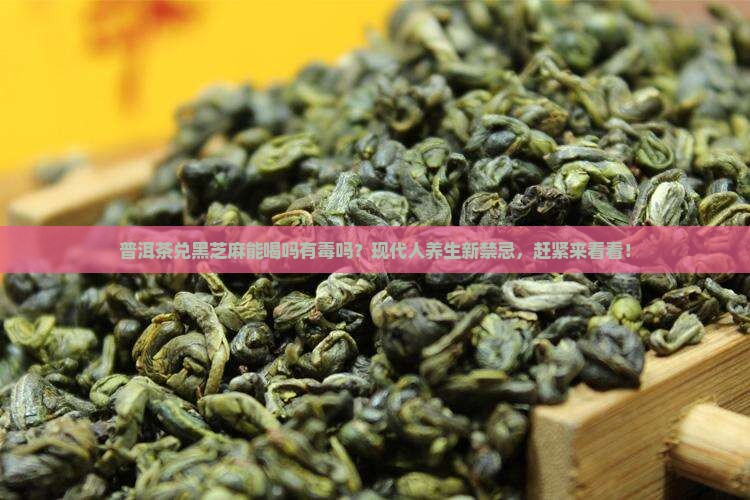 普洱茶兑黑芝麻能喝吗有毒吗