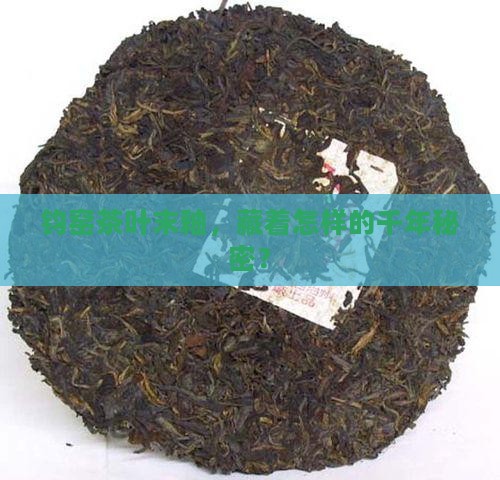 什么是钧窑茶叶末釉