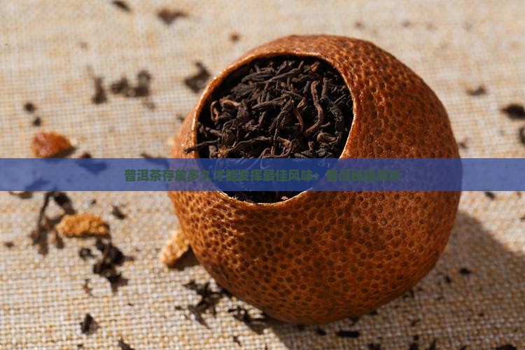 普洱茶需要存多久