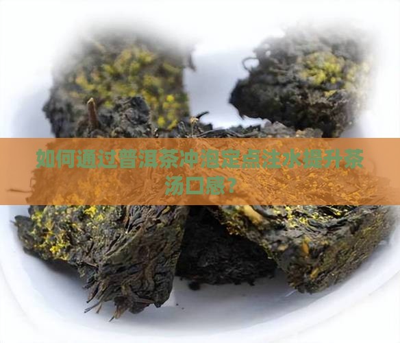 普洱茶冲泡定点注水
