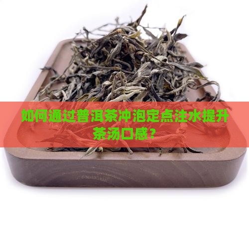 普洱茶冲泡定点注水