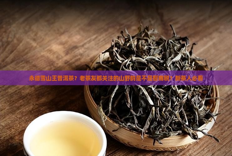 永德雪山王普洱茶