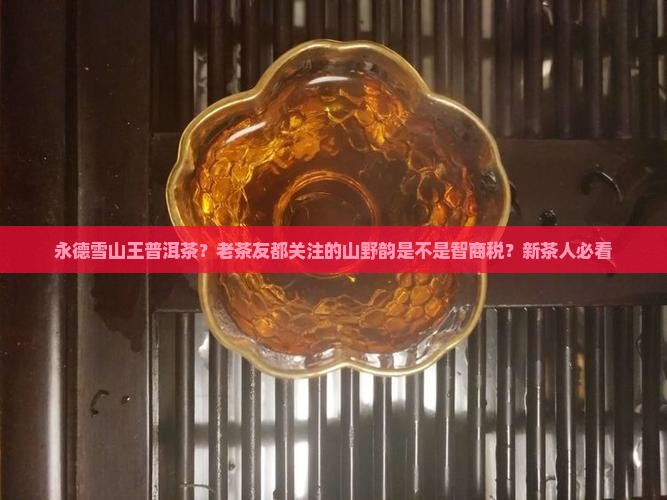 永德雪山王普洱茶