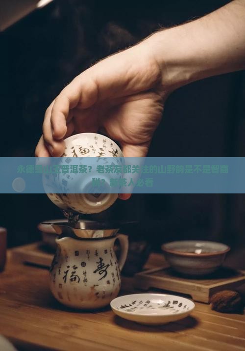 永德雪山王普洱茶