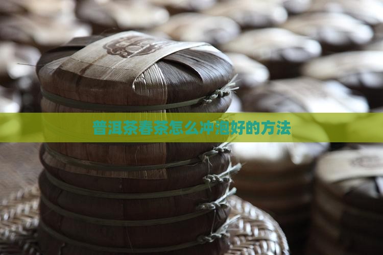 普洱茶春茶怎么泡好的