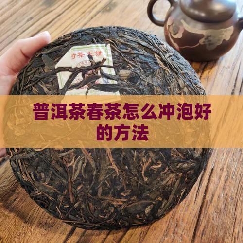 普洱茶春茶怎么泡好的