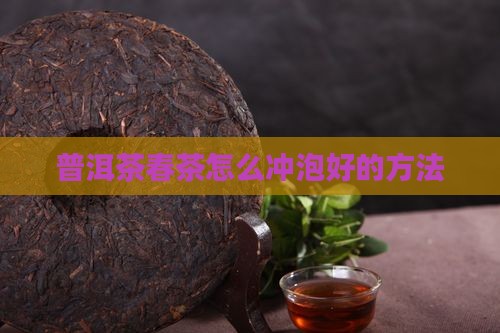 普洱茶春茶怎么泡好的