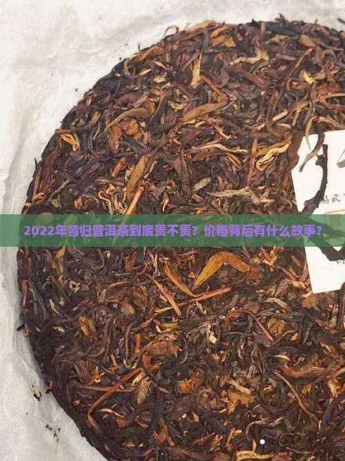 昔归普洱茶2022价格