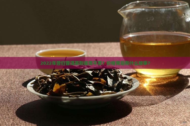 昔归普洱茶2022价格