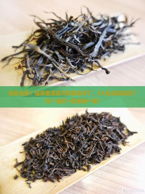 福海普洱茶新消息
