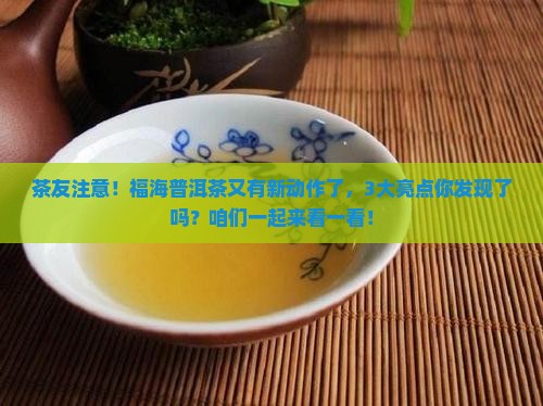 福海普洱茶新消息