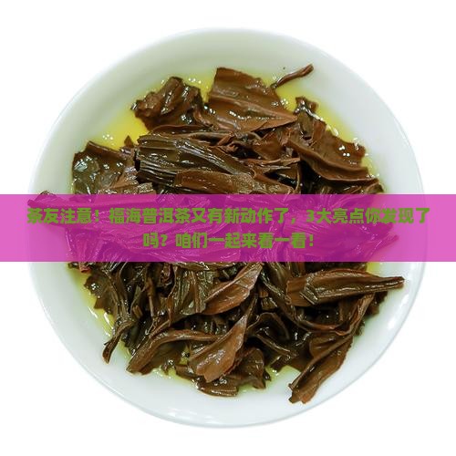福海普洱茶新消息