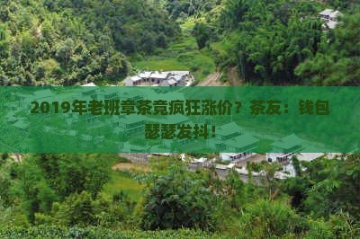 2019年老班章涨价 2019年老班章涨价