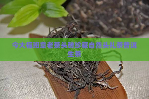 今大福班章老茶头