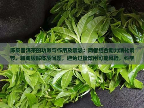 陈皮普洱的功效与作用及禁忌