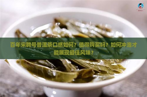 百年宋聘号普洱茶口感测评