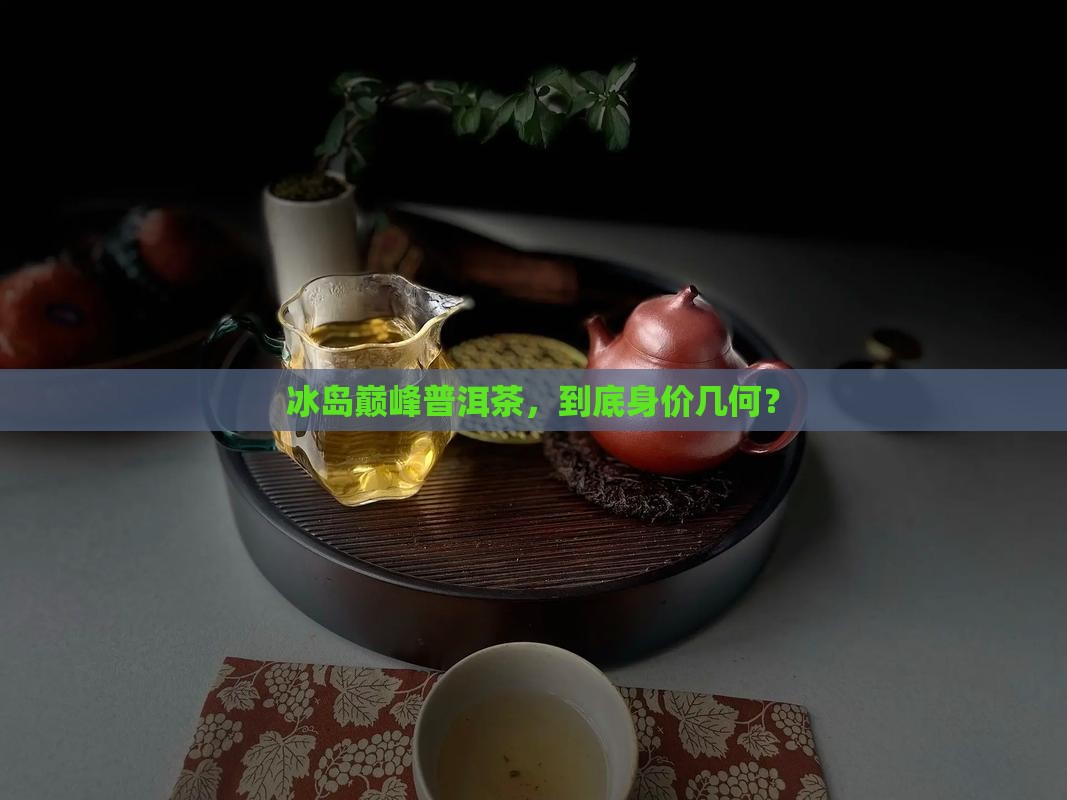 冰岛巅峰普洱茶价位