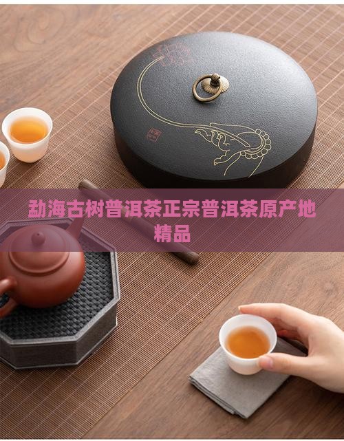 洱海县古树普洱茶