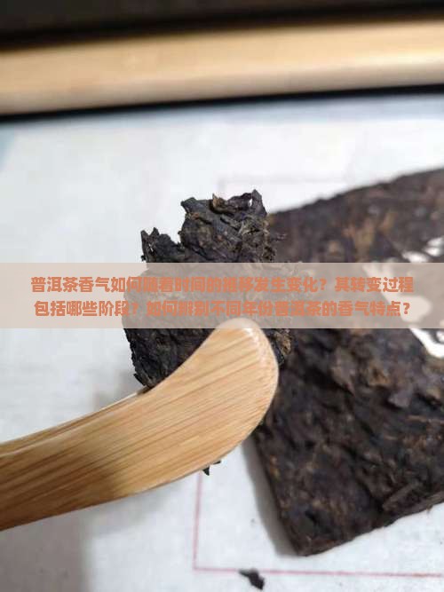 普洱茶香气的转变过程是什么