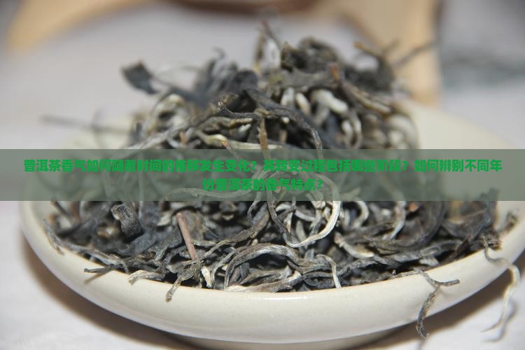 普洱茶香气的转变过程是什么