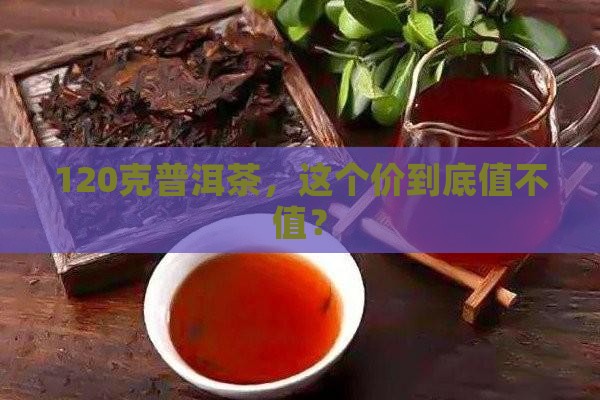 普洱茶价格表120克