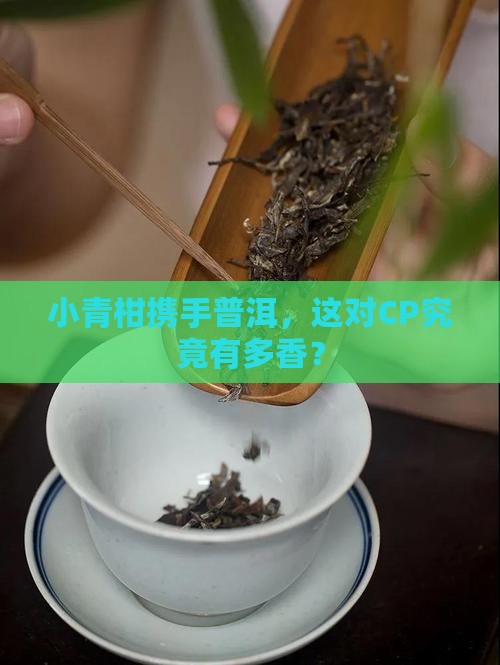 普洱小青柑和普通普洱茶