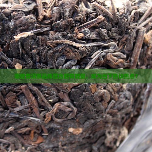 超有能量的普洱茶品牌有哪些