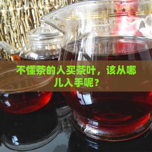 不会喝茶的人买什么茶叶好