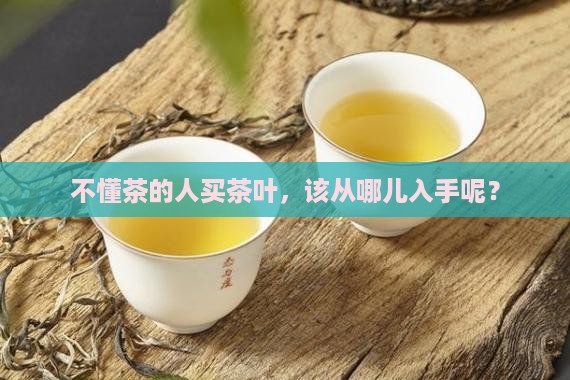不会喝茶的人买什么茶叶好