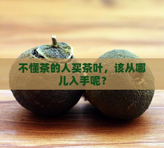 不会喝茶的人买什么茶叶好