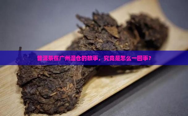 普洱茶广州湿仓由来