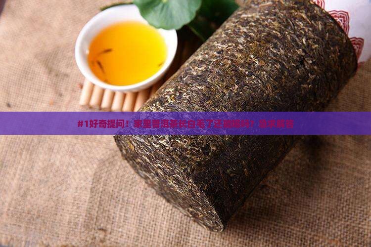普洱茶发霉了是不是变坏了