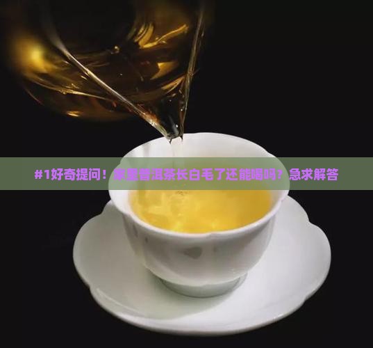 普洱茶发霉了是不是变坏了