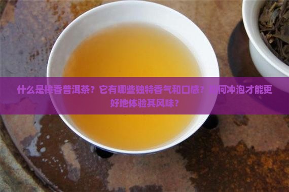 樟香普洱茶介绍