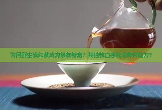 野生滇红茶的口感