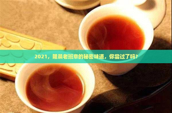 隆晨老班章2021