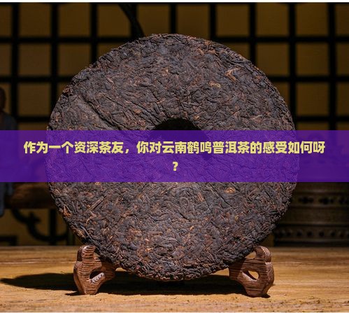 云南鹤鸣普洱茶怎么样啊