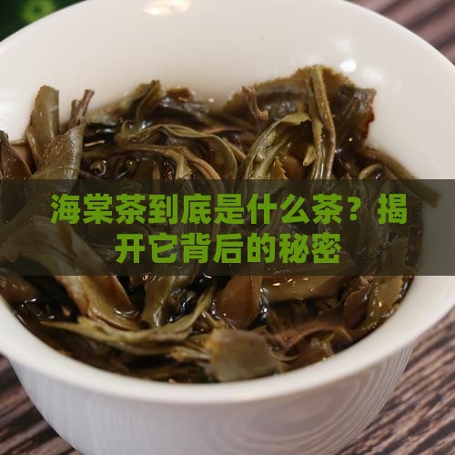 海棠茶属于什么茶