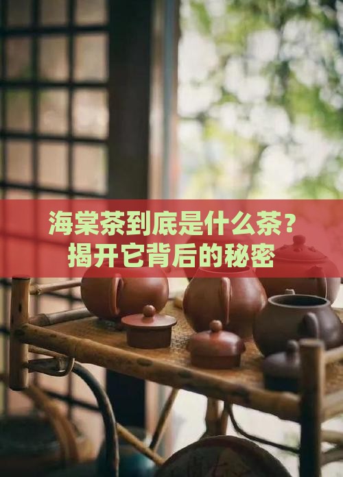 海棠茶属于什么茶