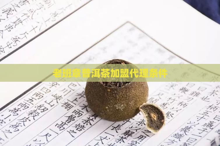 新余老班章代理条件